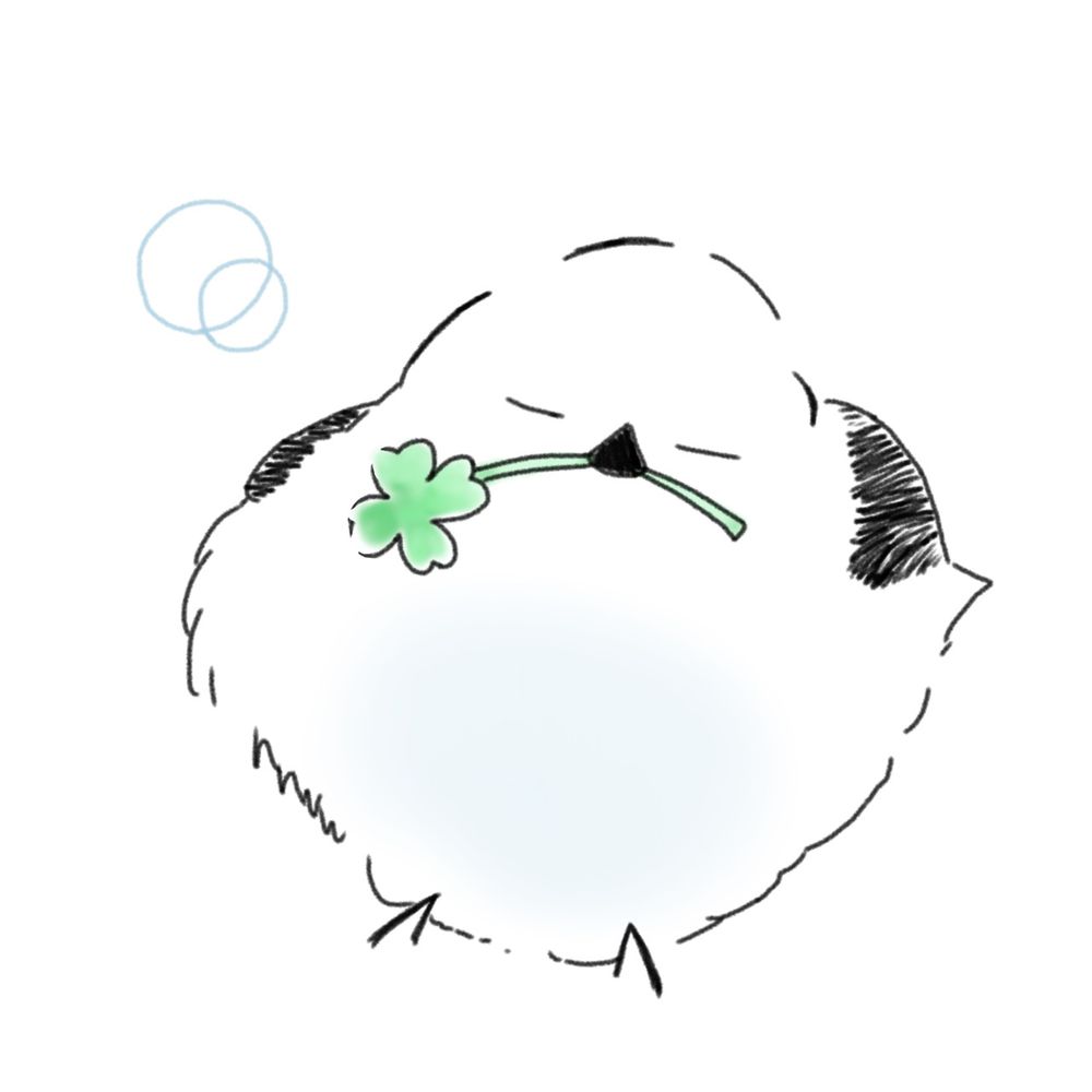 雨乃もも
