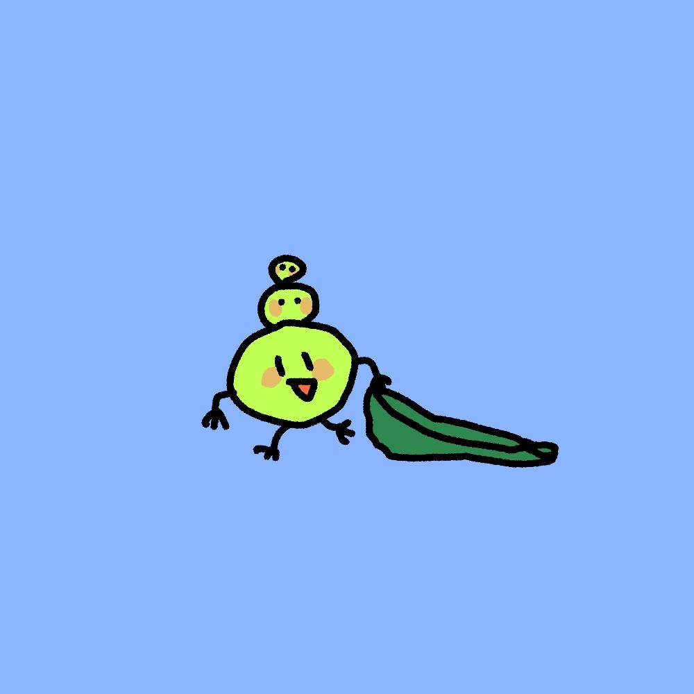 쵸리콩