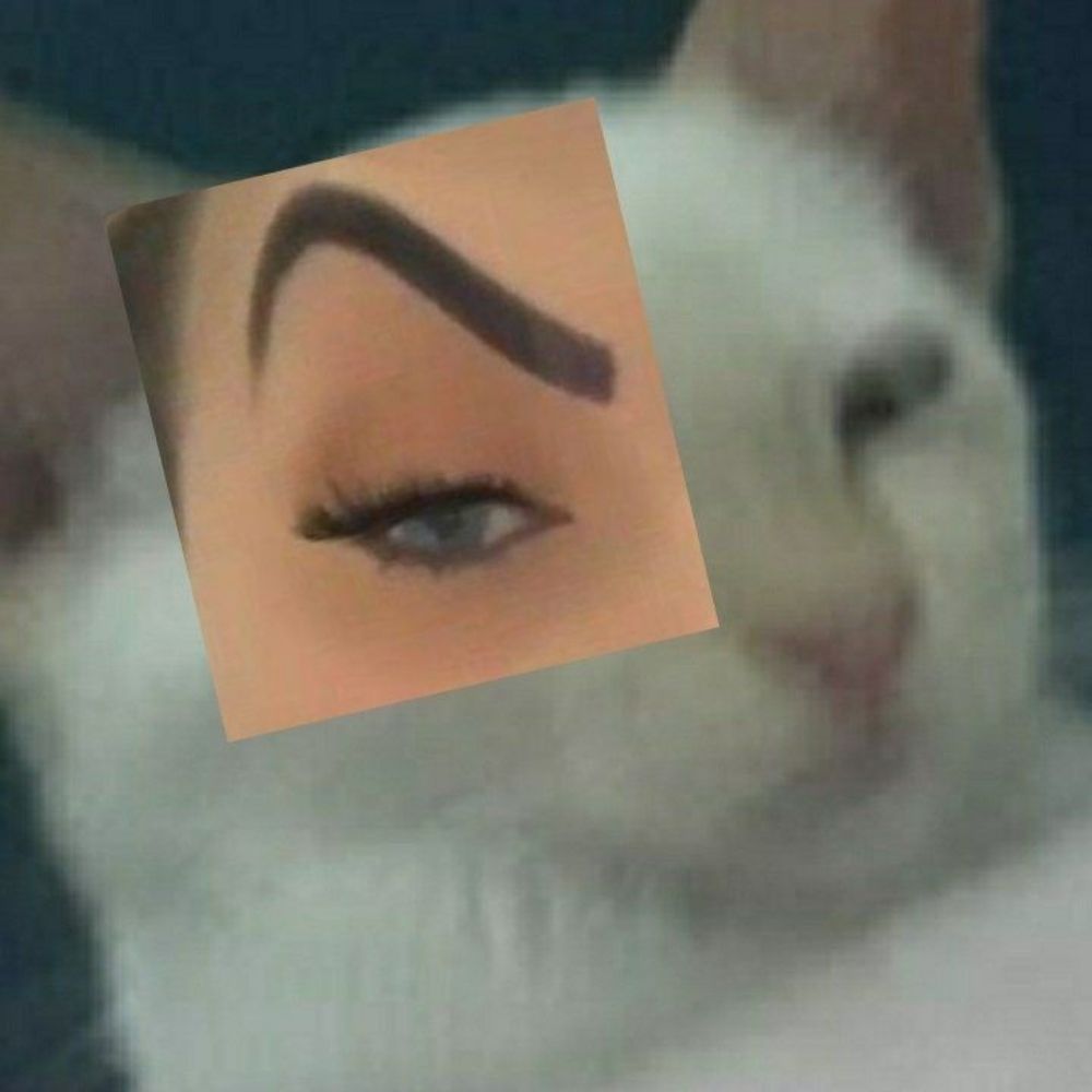 Lipeeh