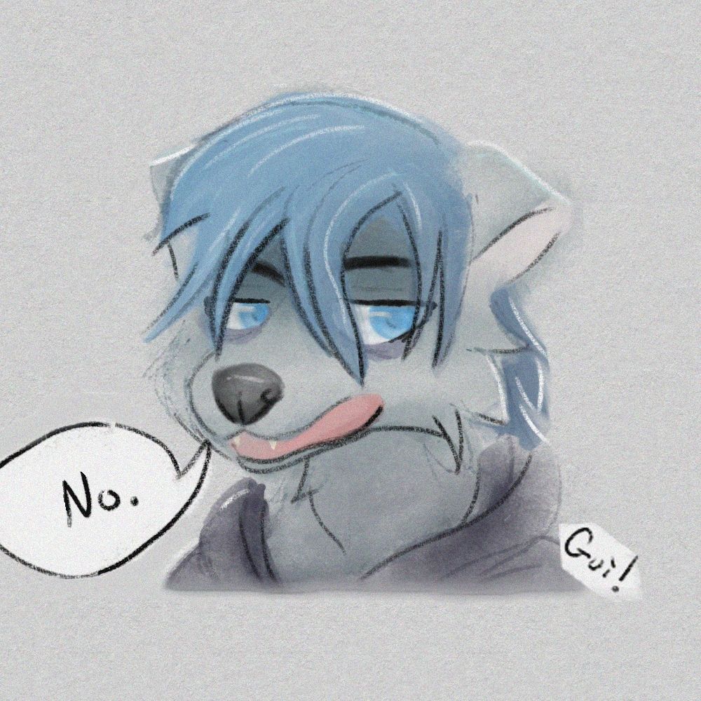 Seddy