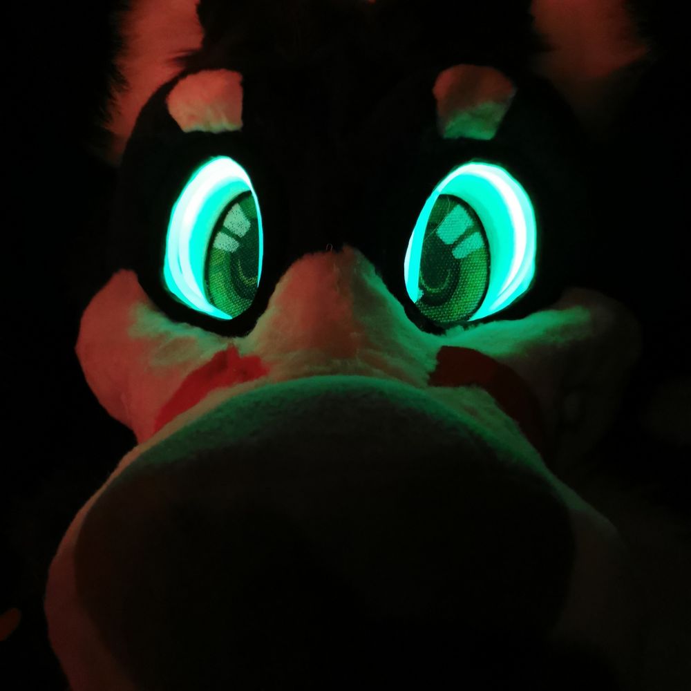 Daryl Fox