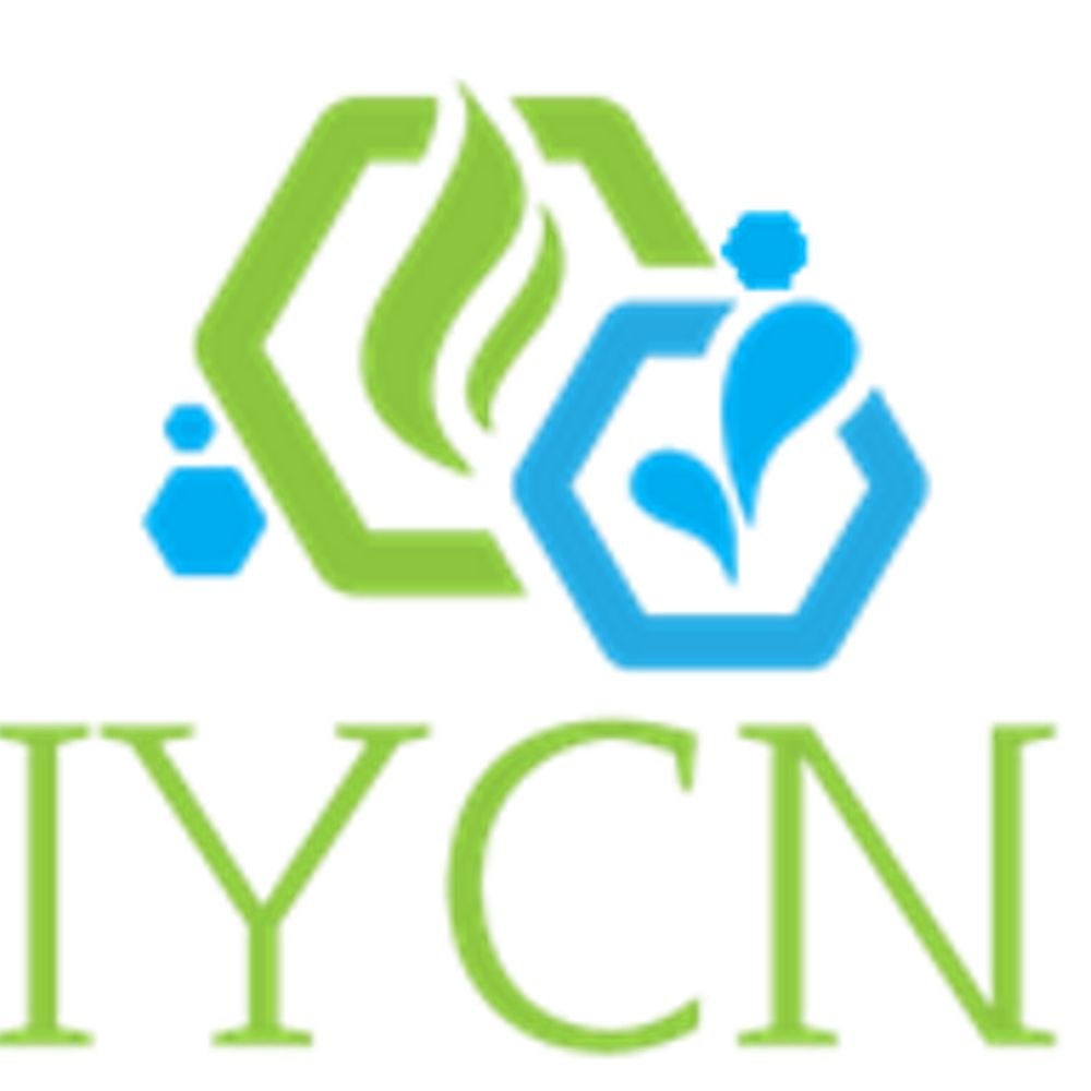 International Younger Chemists Network (IYCN)