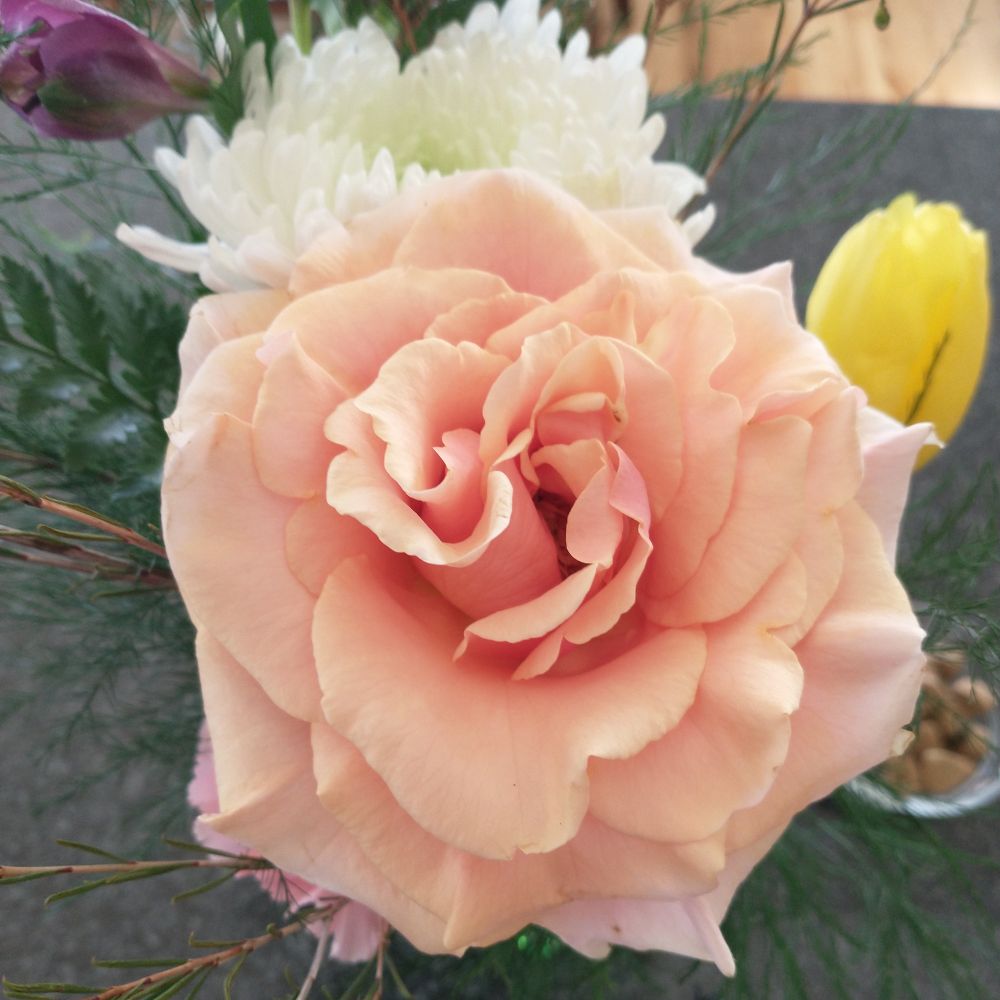 marilynmaskell.bsky.social profile picture