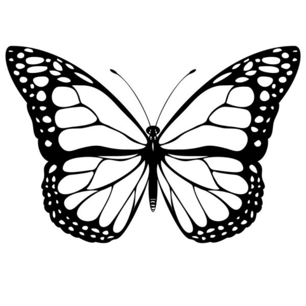 Borboleto 🦋🦋🦋