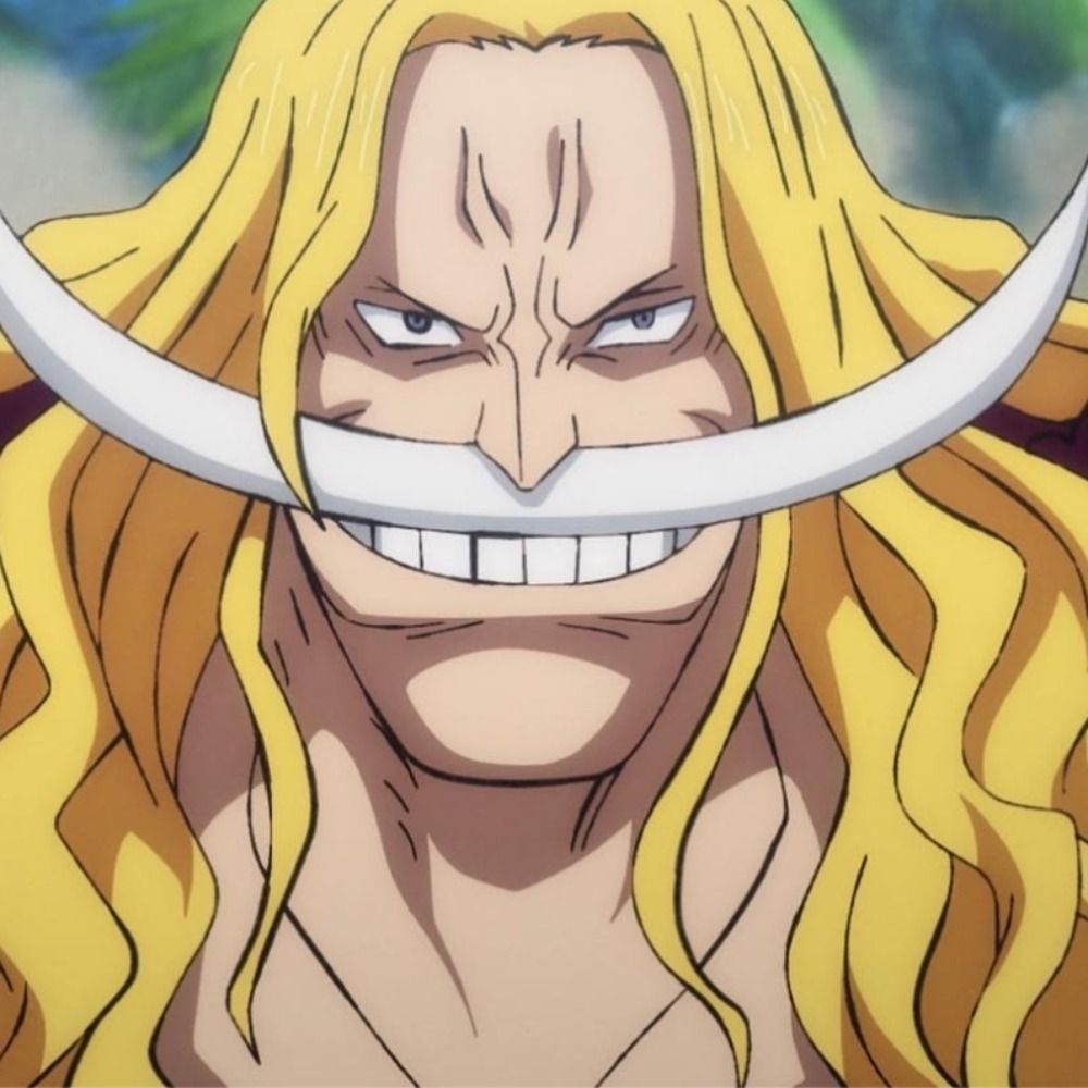 Whitebeard
