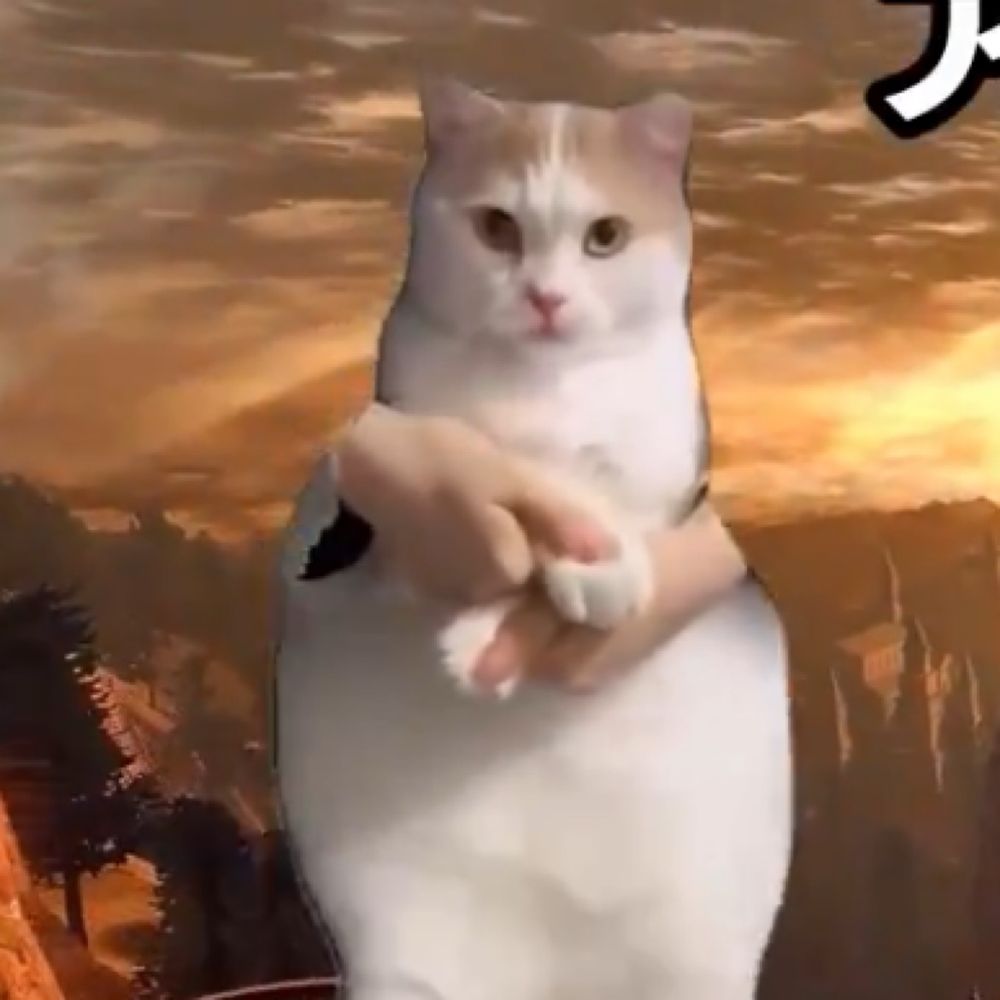 ちぴちぴ