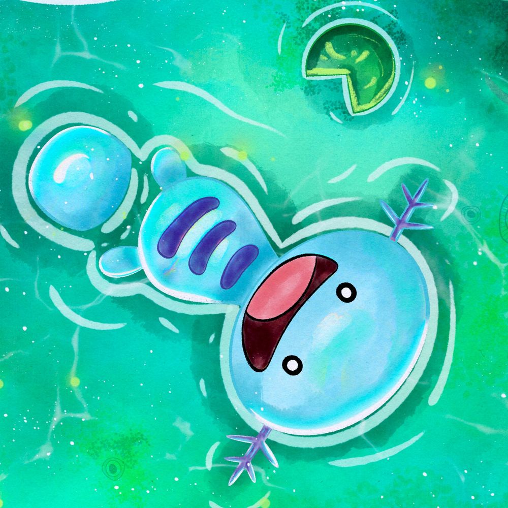 Jellywysh