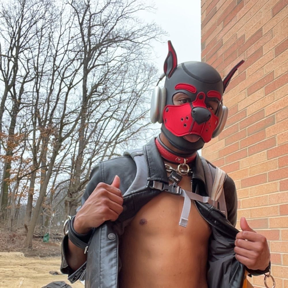 Pup_Finn