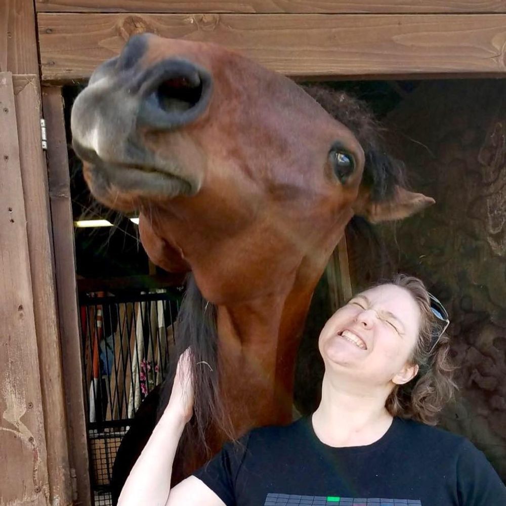 Mel Miller Equine Art
