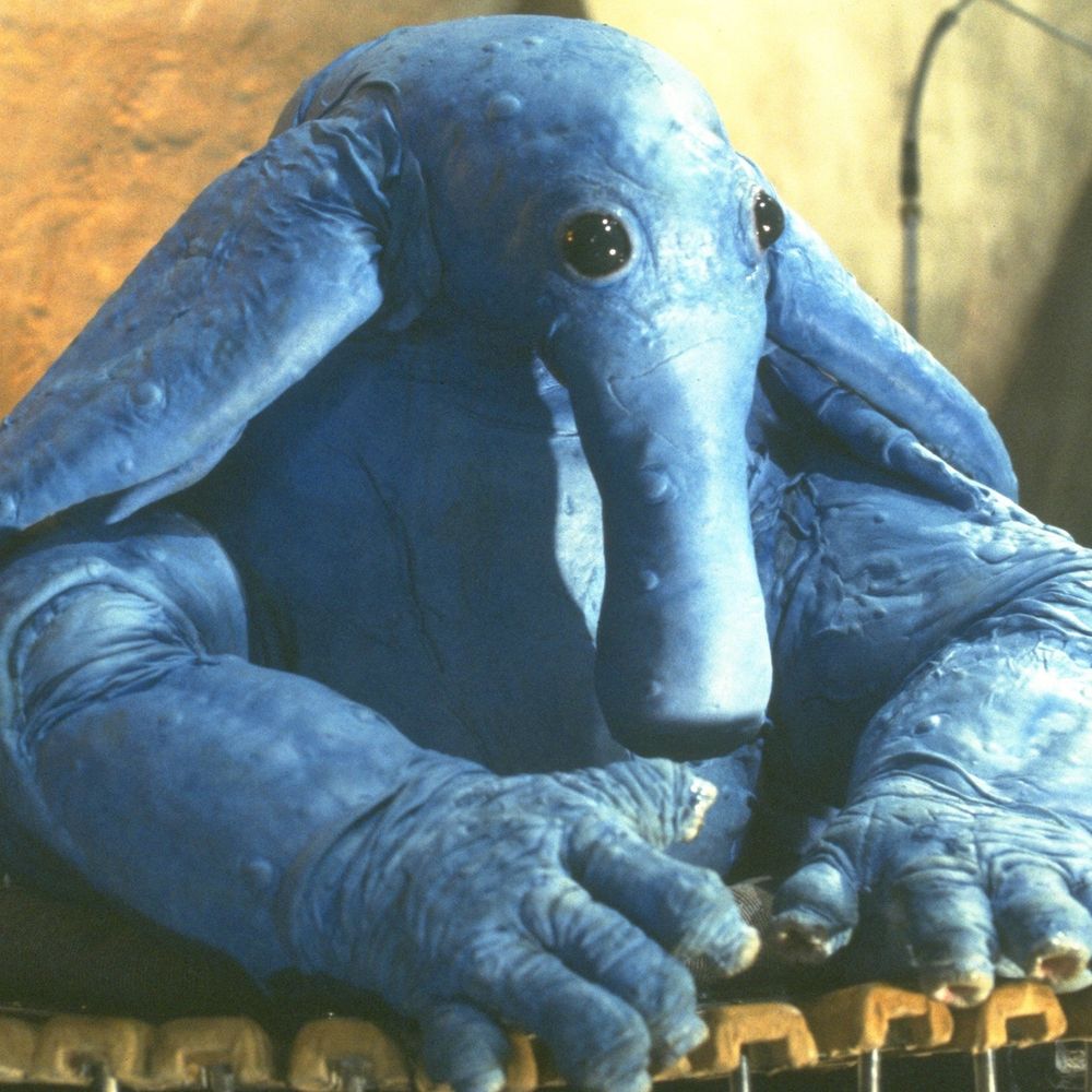 Max Rebo