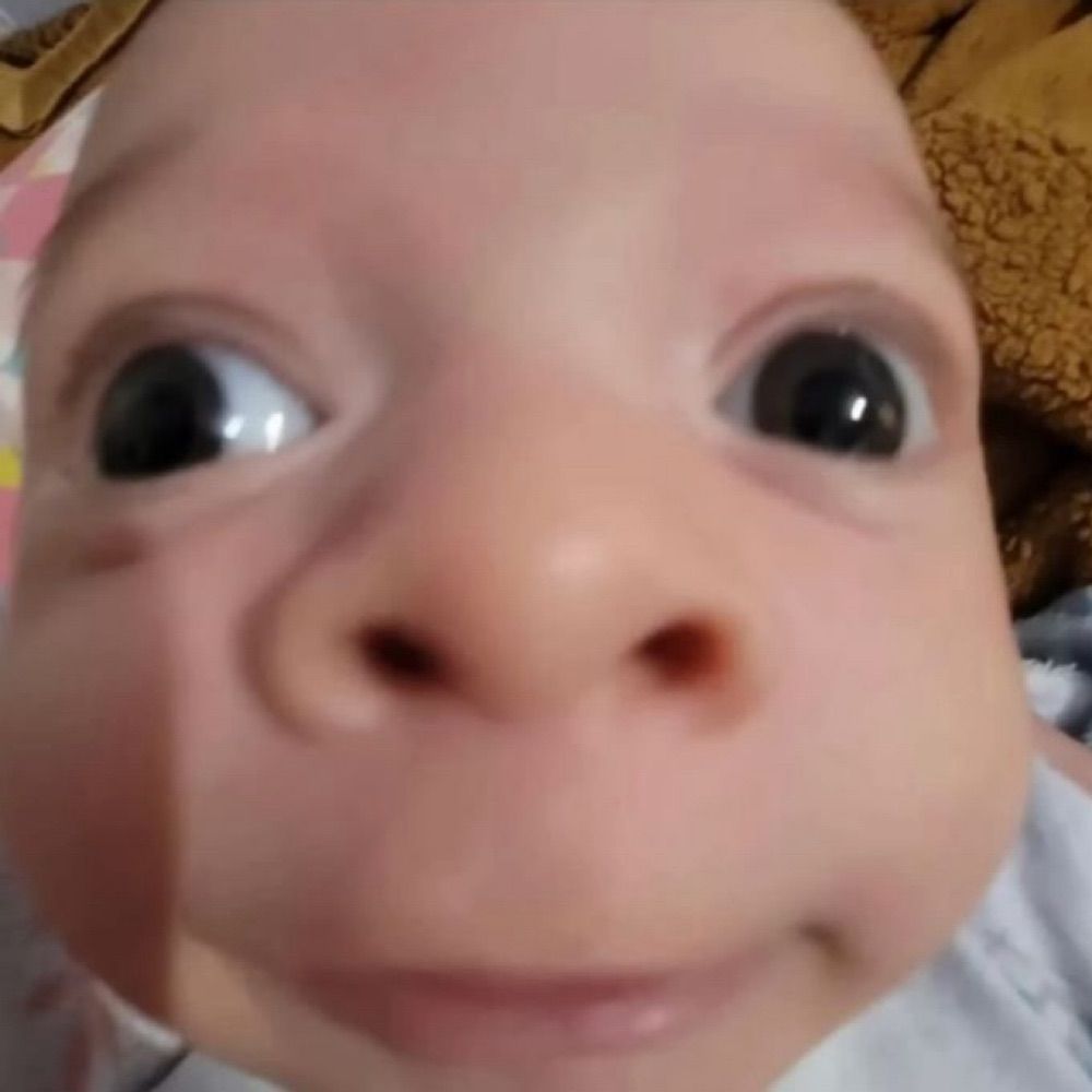 Toddytto