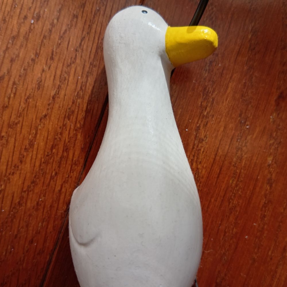 flowerofzabon.bsky.social