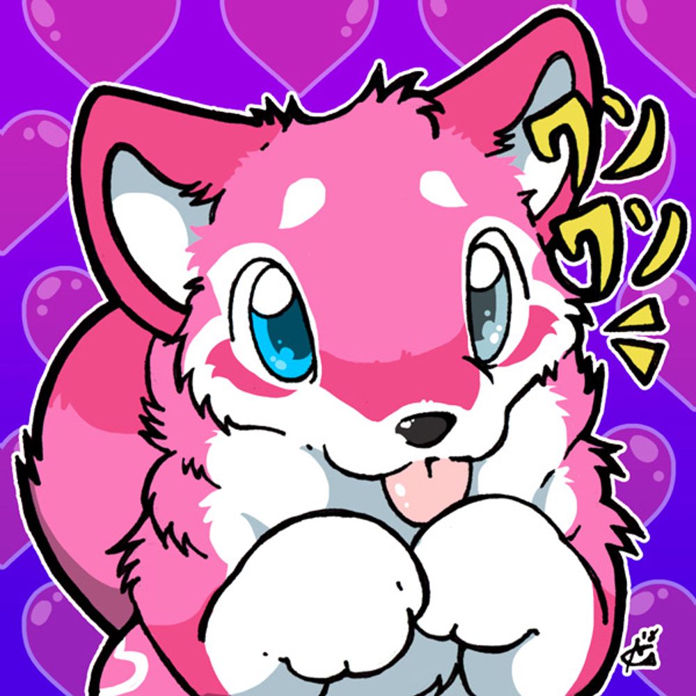今〜「　マカーム　」