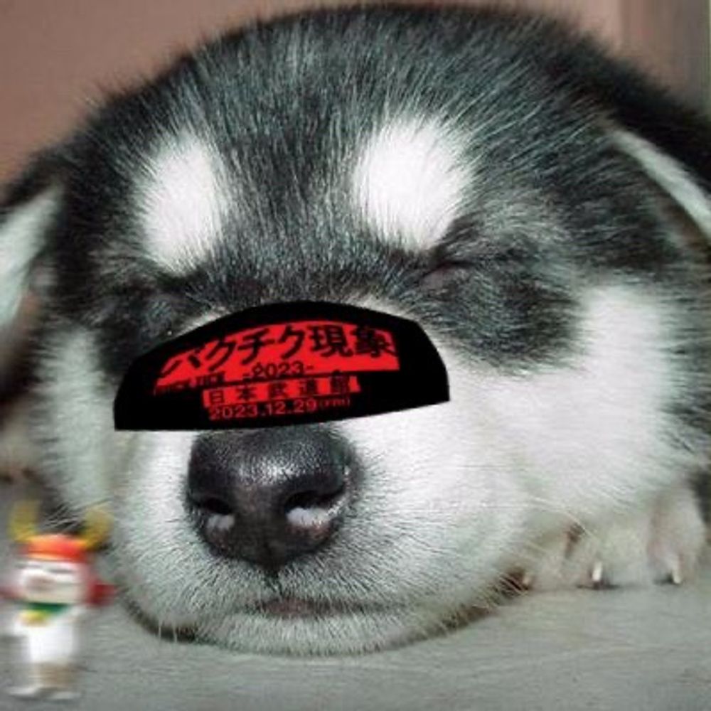 わんわん a.k.a. わんちゃん