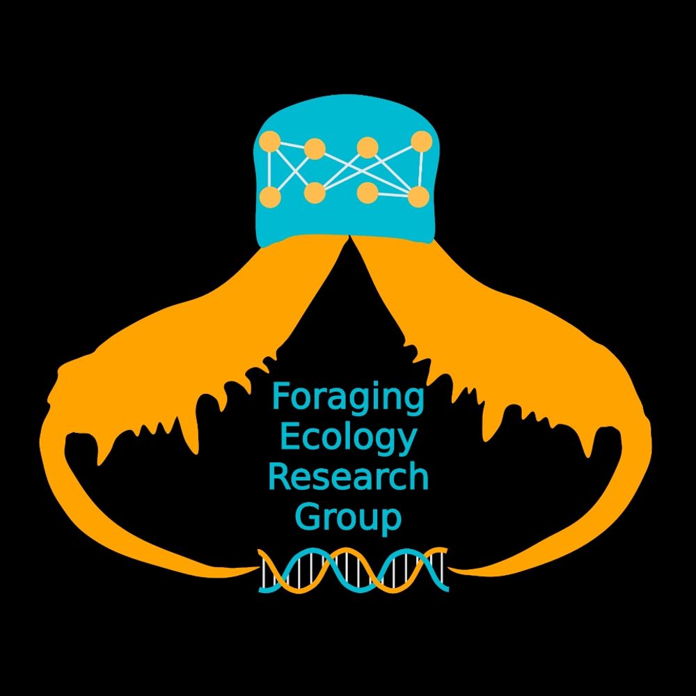 Foraging Ecology Research Group