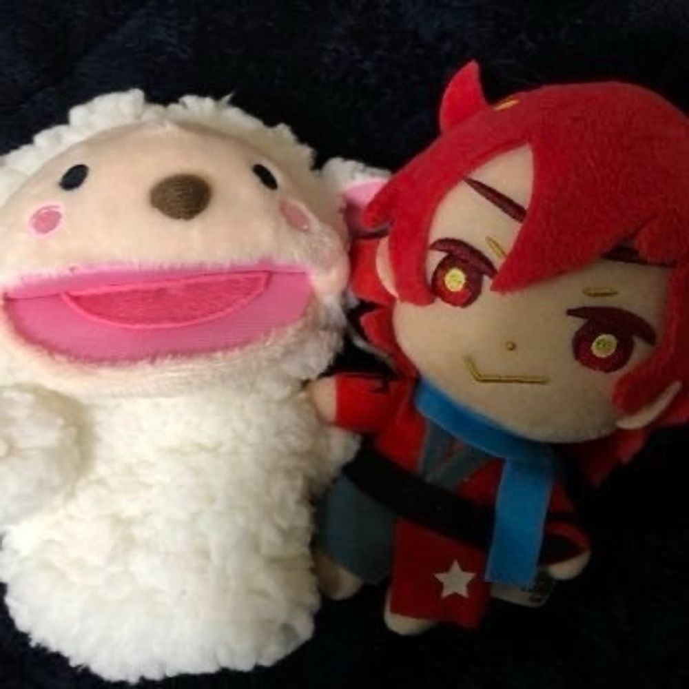 ふこっち
