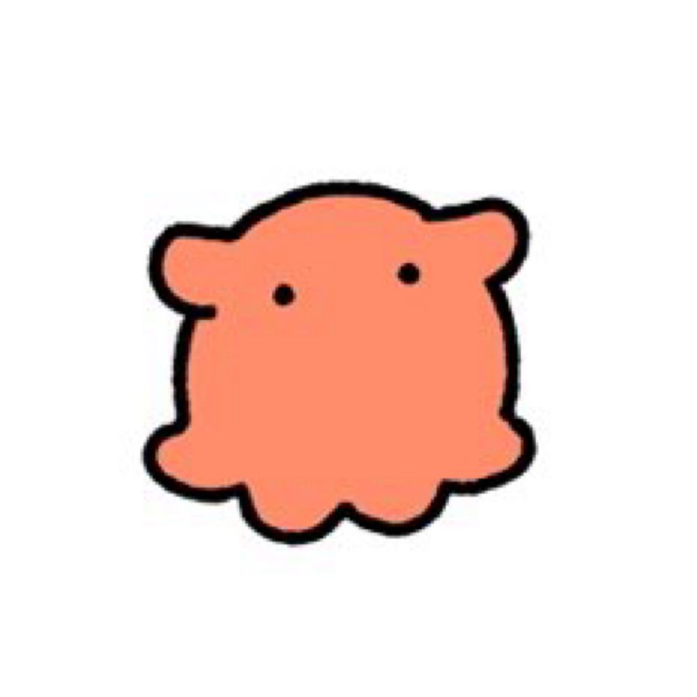치코