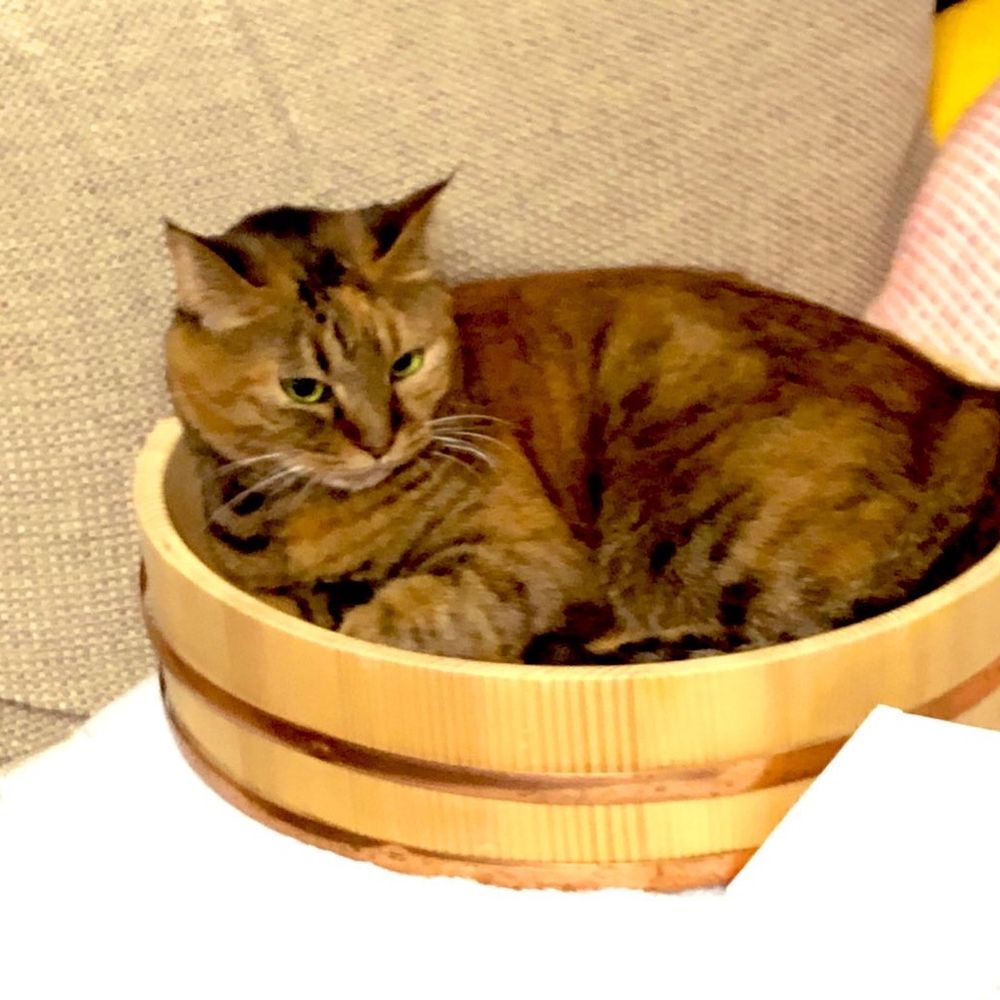 モヨコ