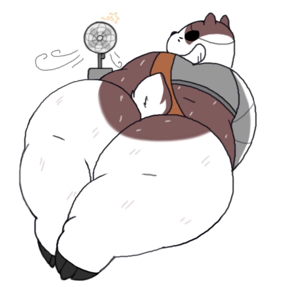 18+ Badger 2