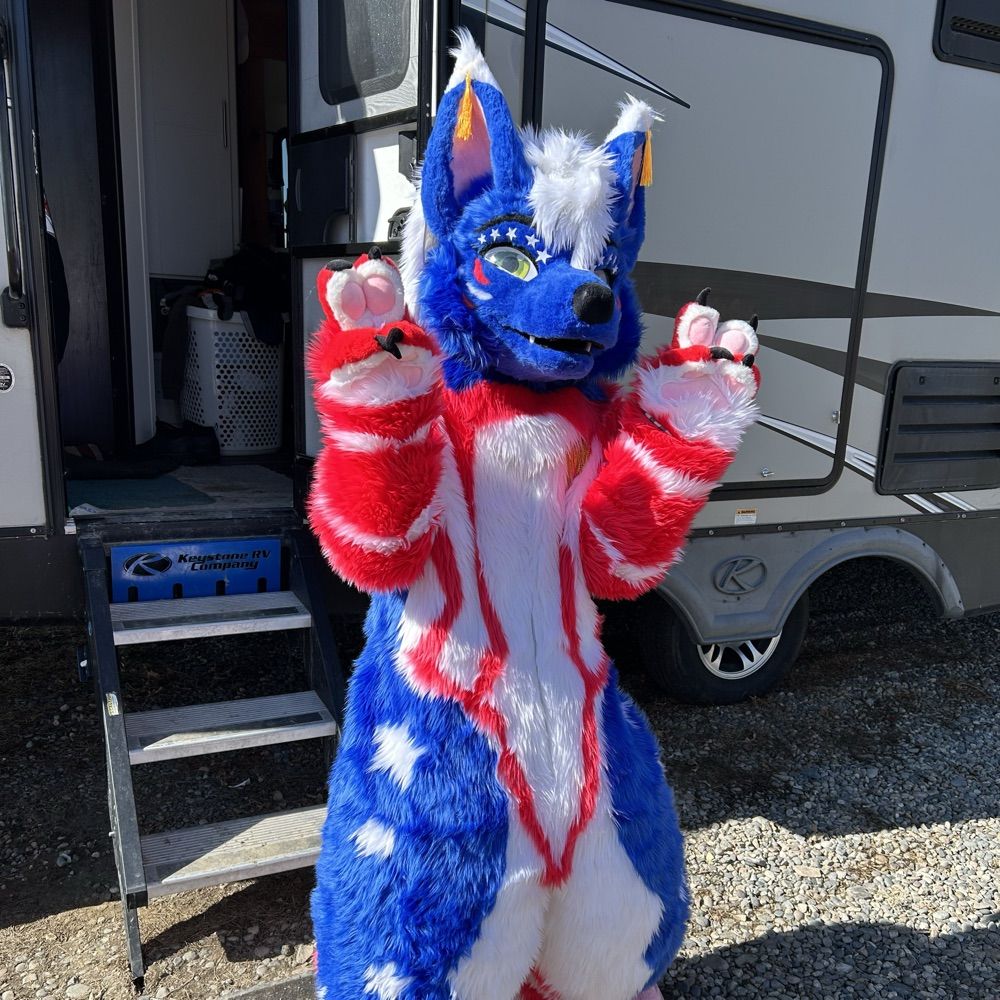 🇺🇸MaxyAmericaWolf🇺🇸