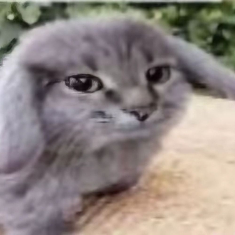 Potnterd