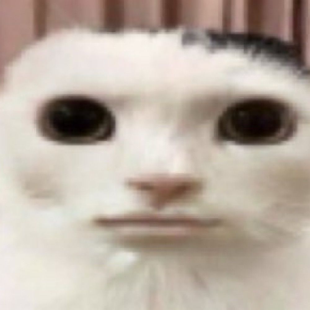 똥