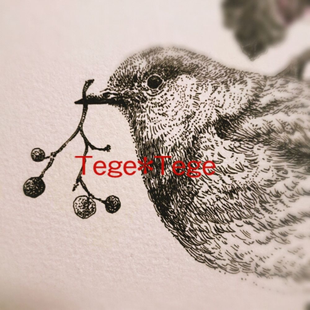 Tege*Tege