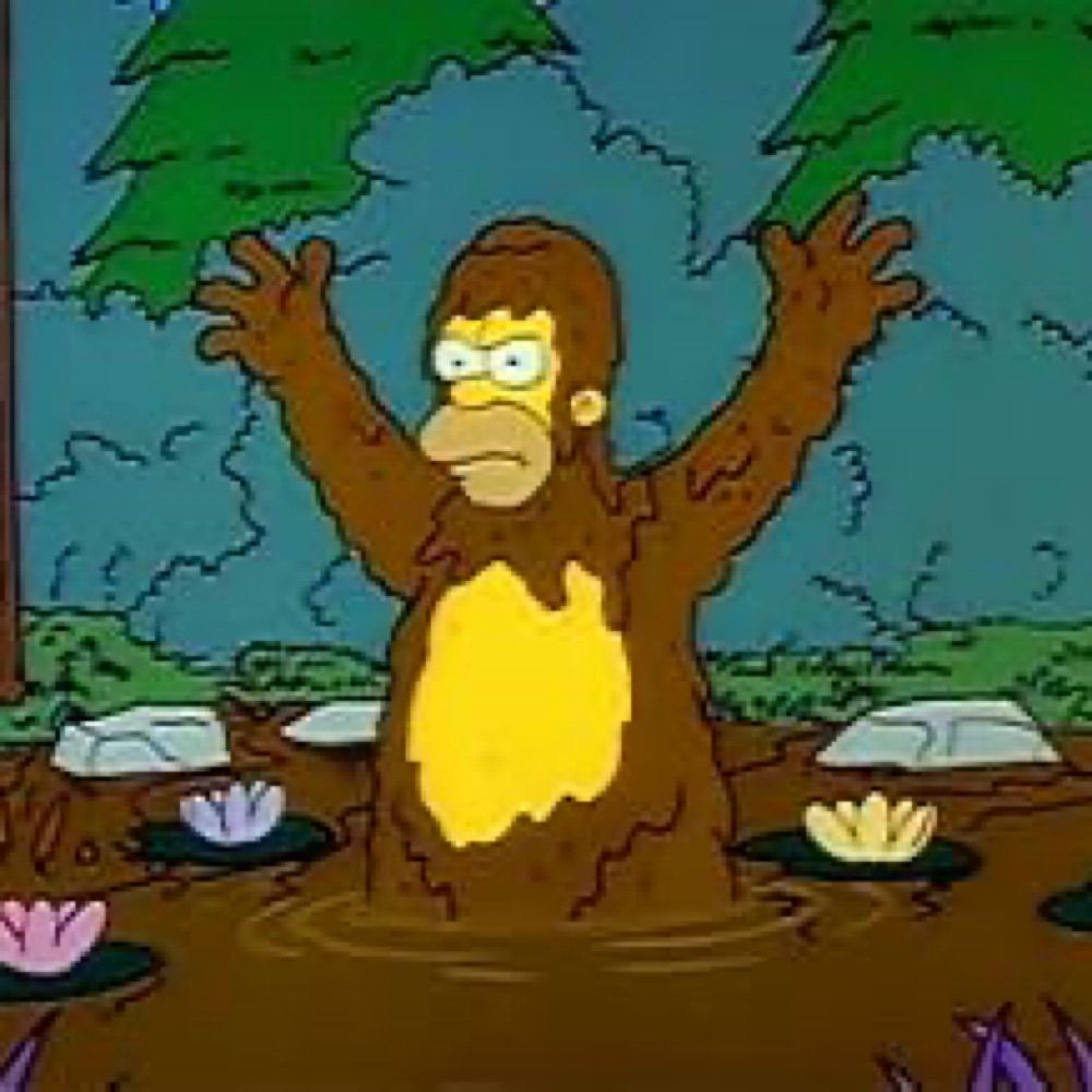 curtisquatch