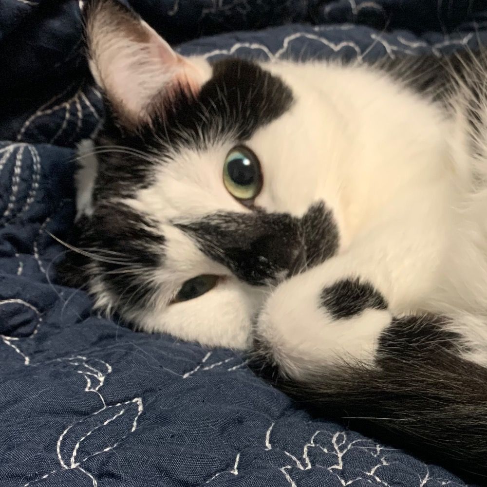 Elliot