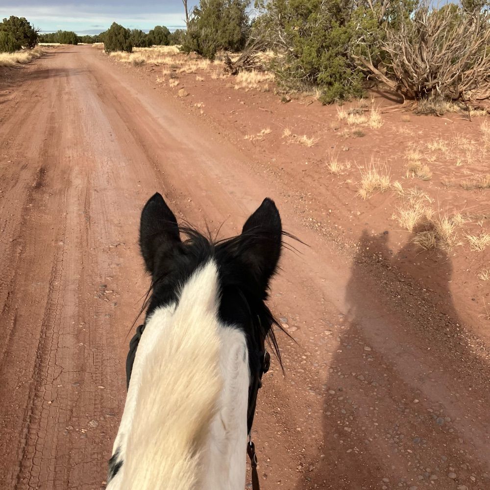 Fossil Ranch horse sanctuary