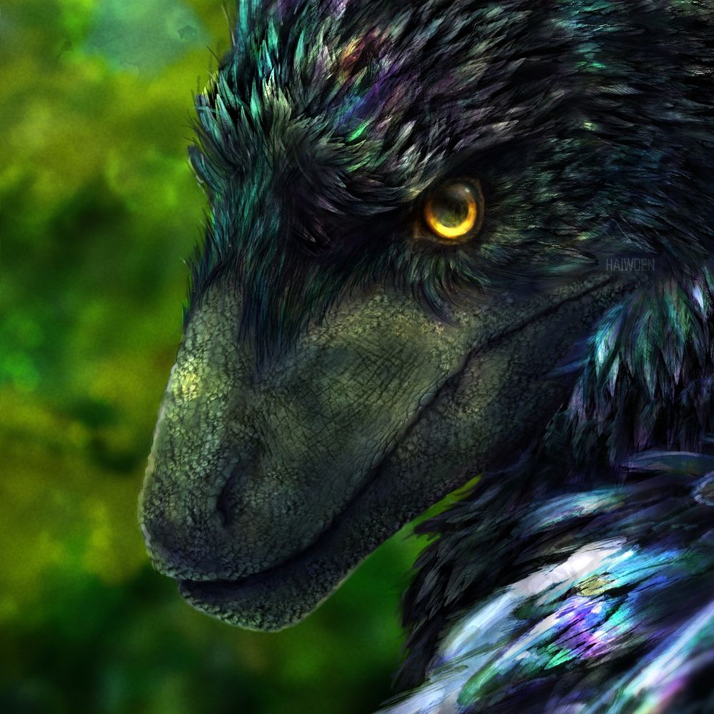 Haiwden 🦖