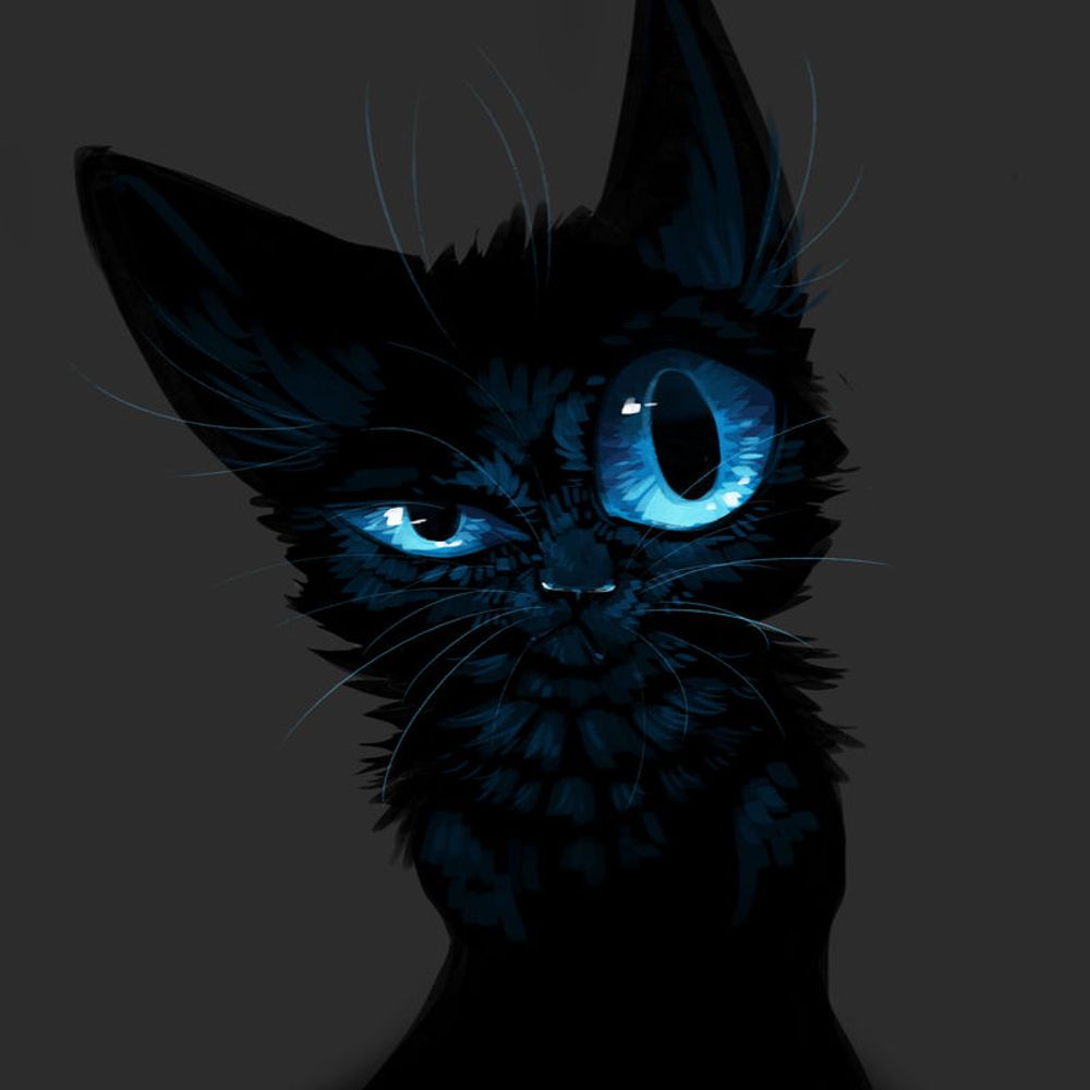 Prof. Crazy Cat