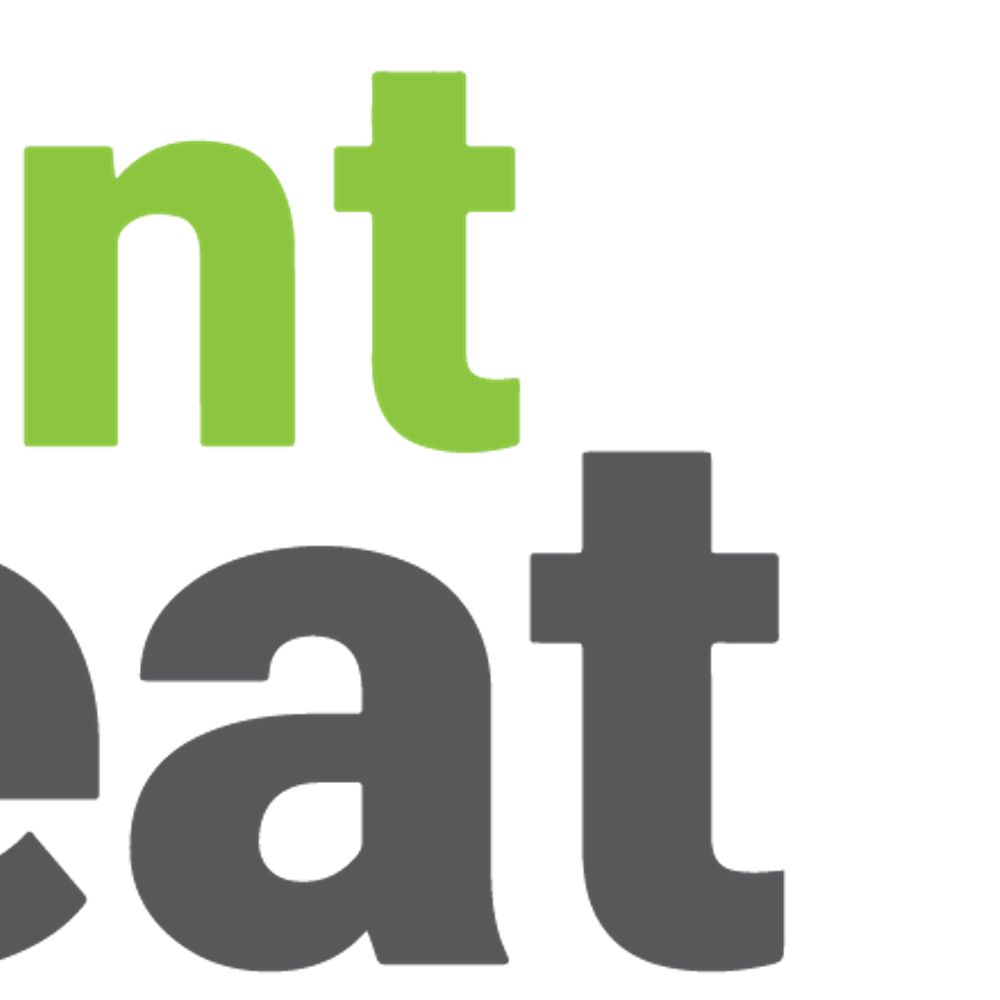 Flint Beat
