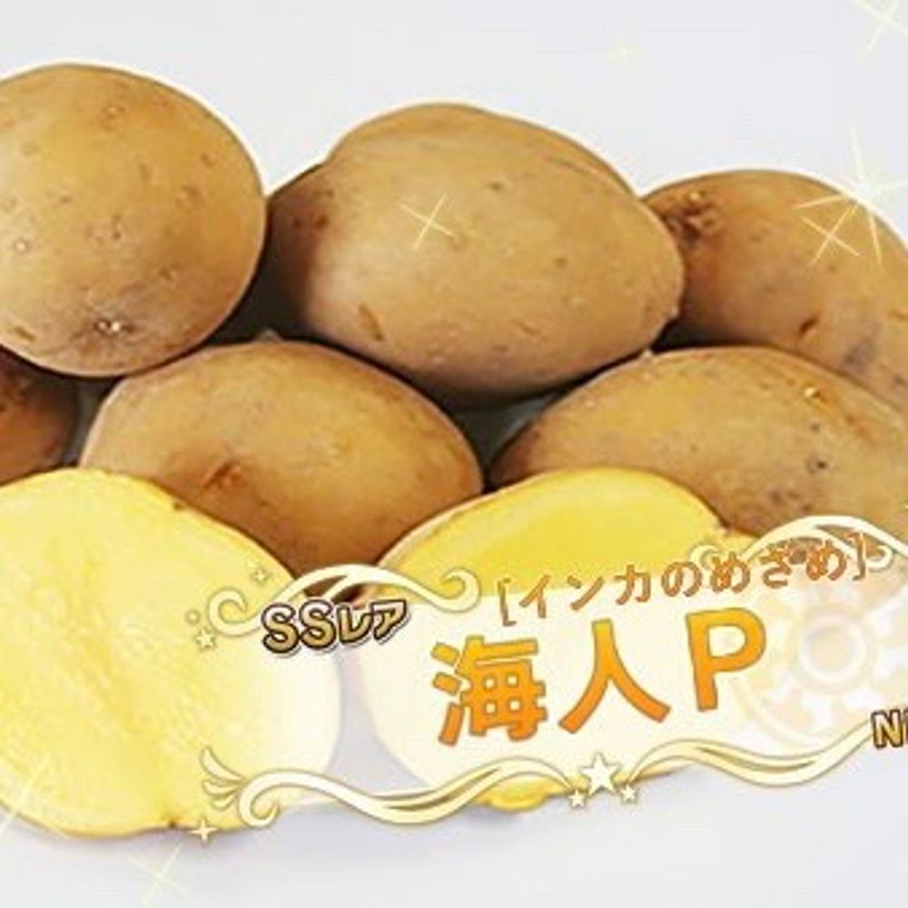 海人