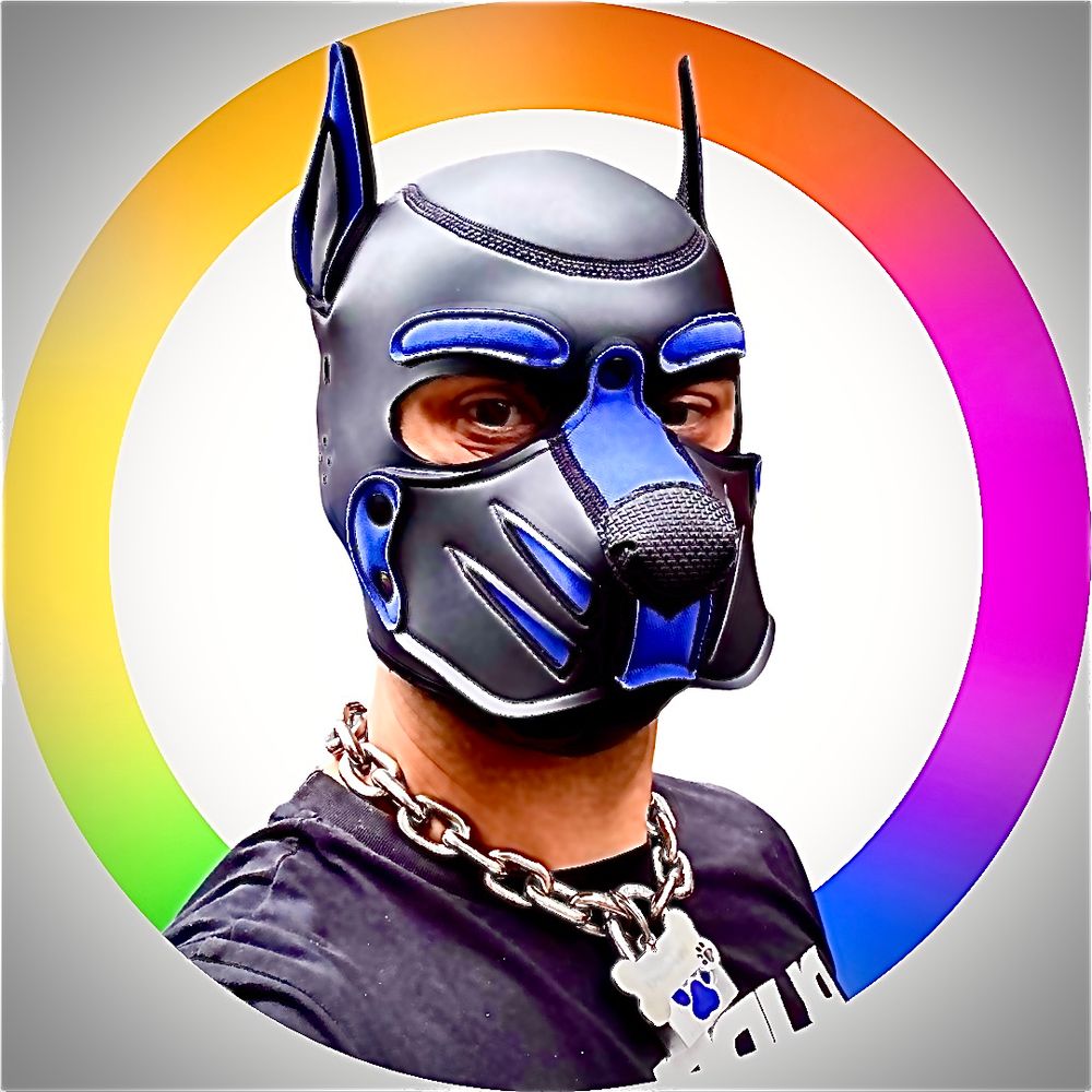 WALKI 🐾 | Kink & Gear
