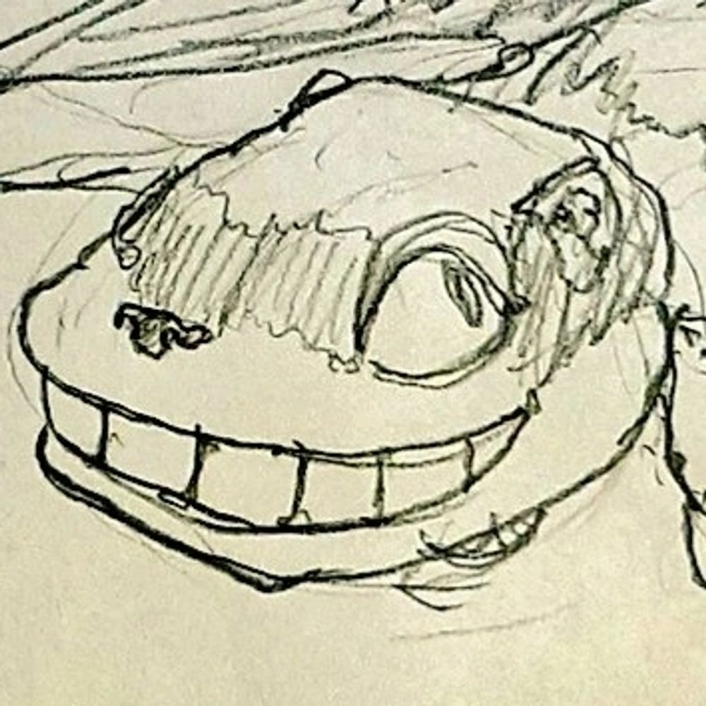 廣い川