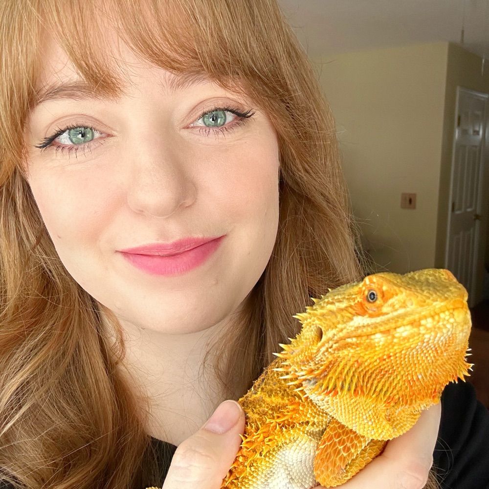 Jessica’s Animal Friends