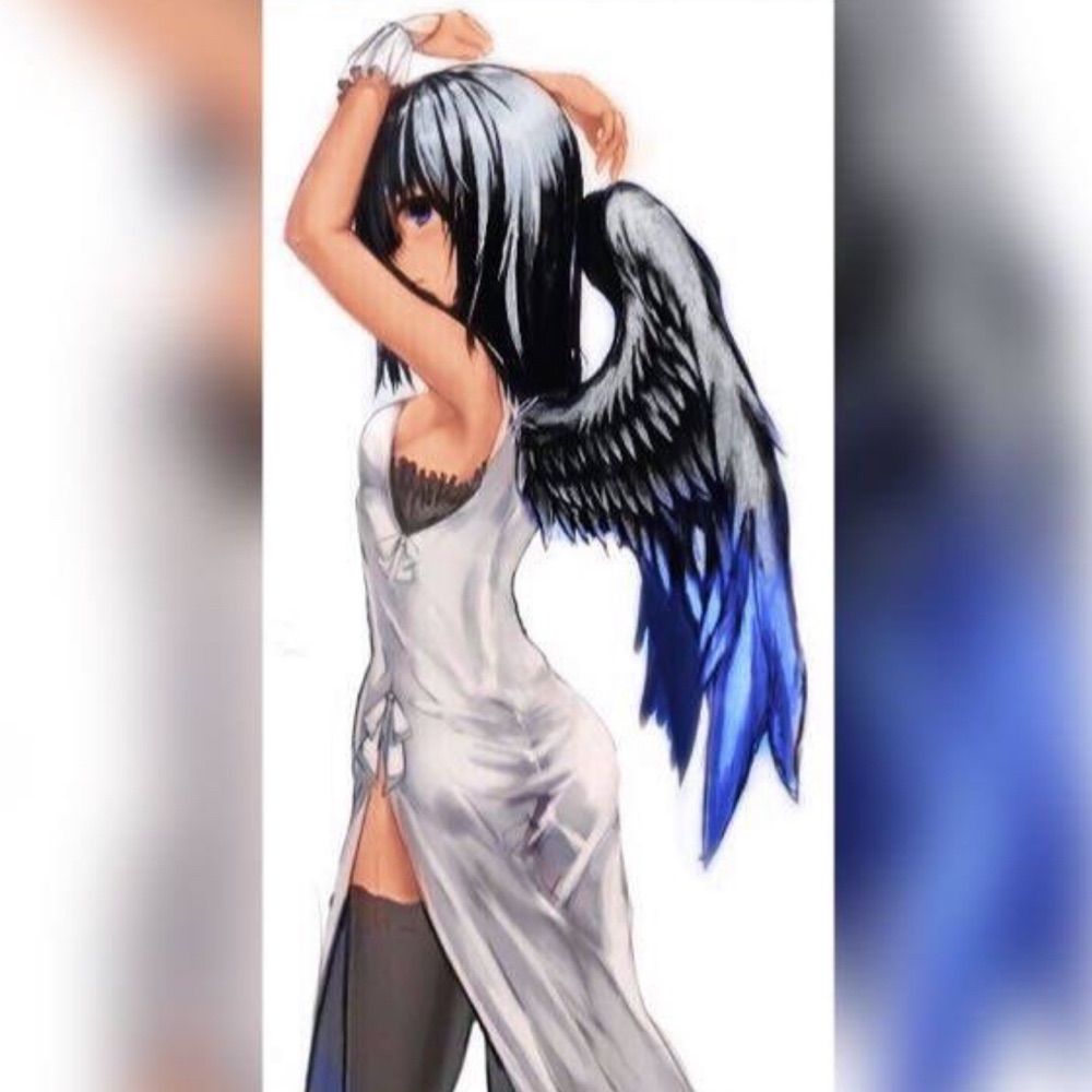 aria