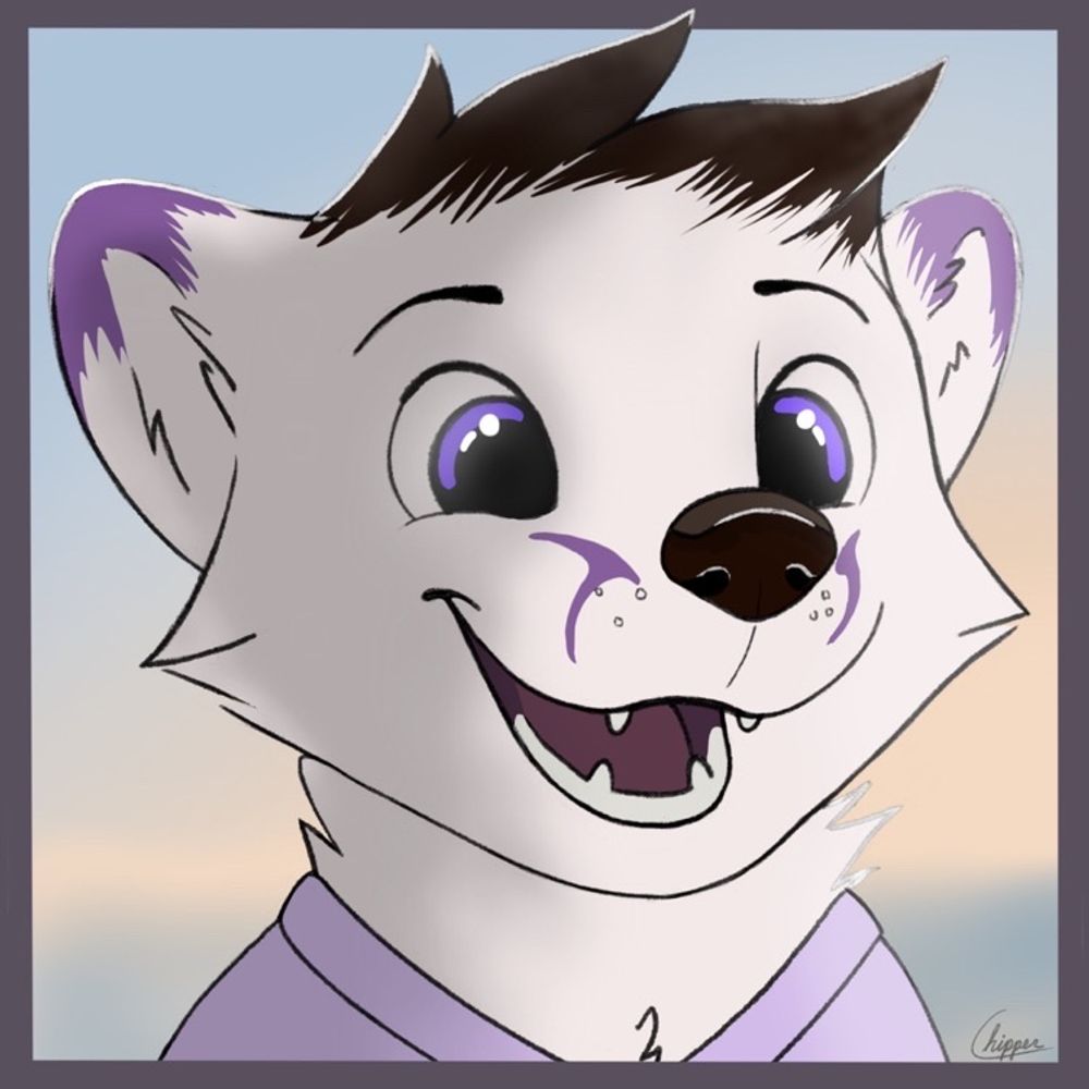 Mr.C~ 🦊📷