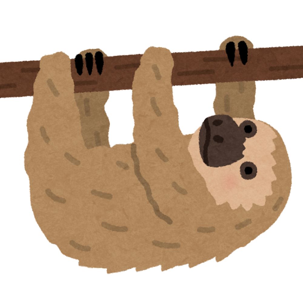さだまゆ