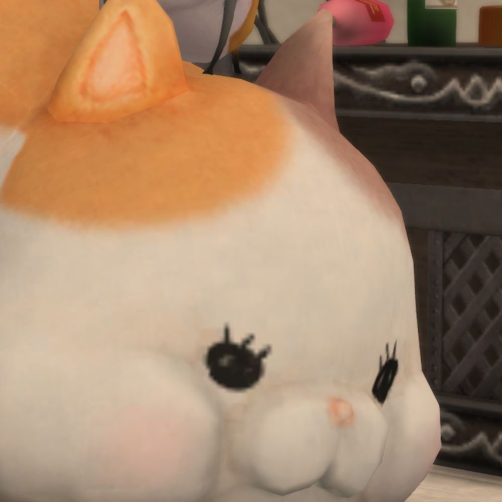 ねこたん