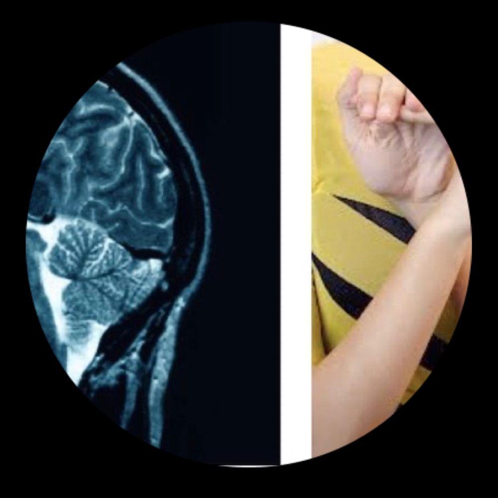 BendyBrain : Dr Jessica Eccles