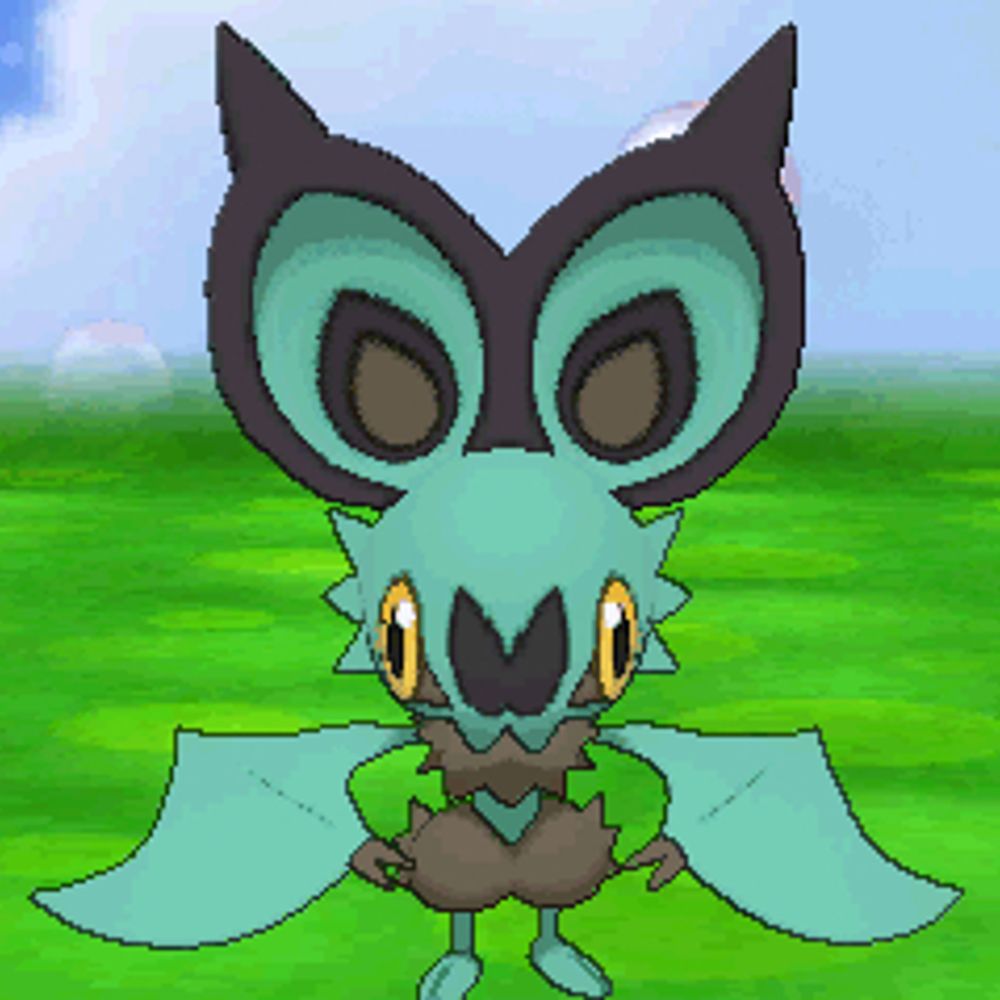A Bat