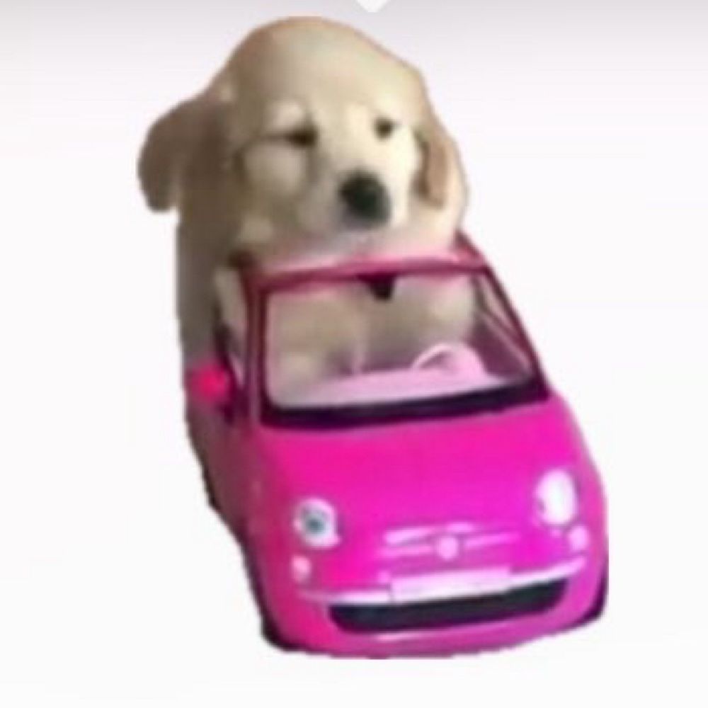 bouillab