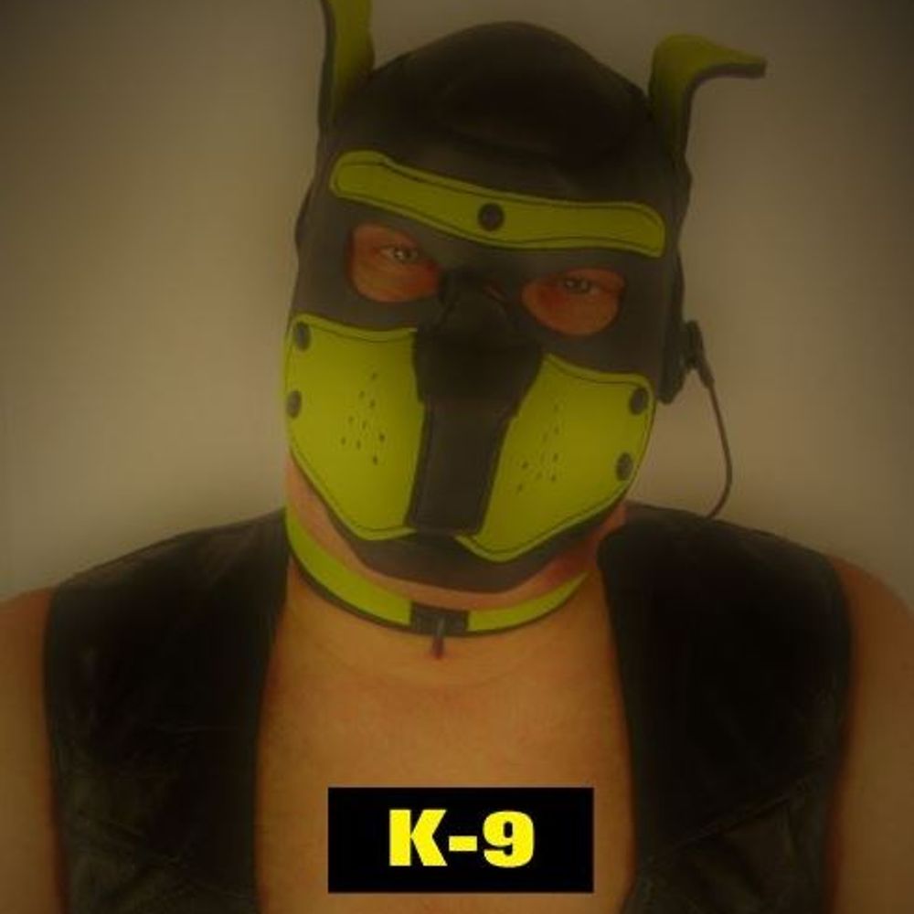 K-9 "Official Pup Page"