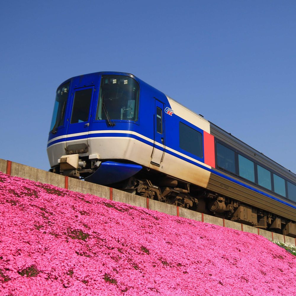 S はくと
