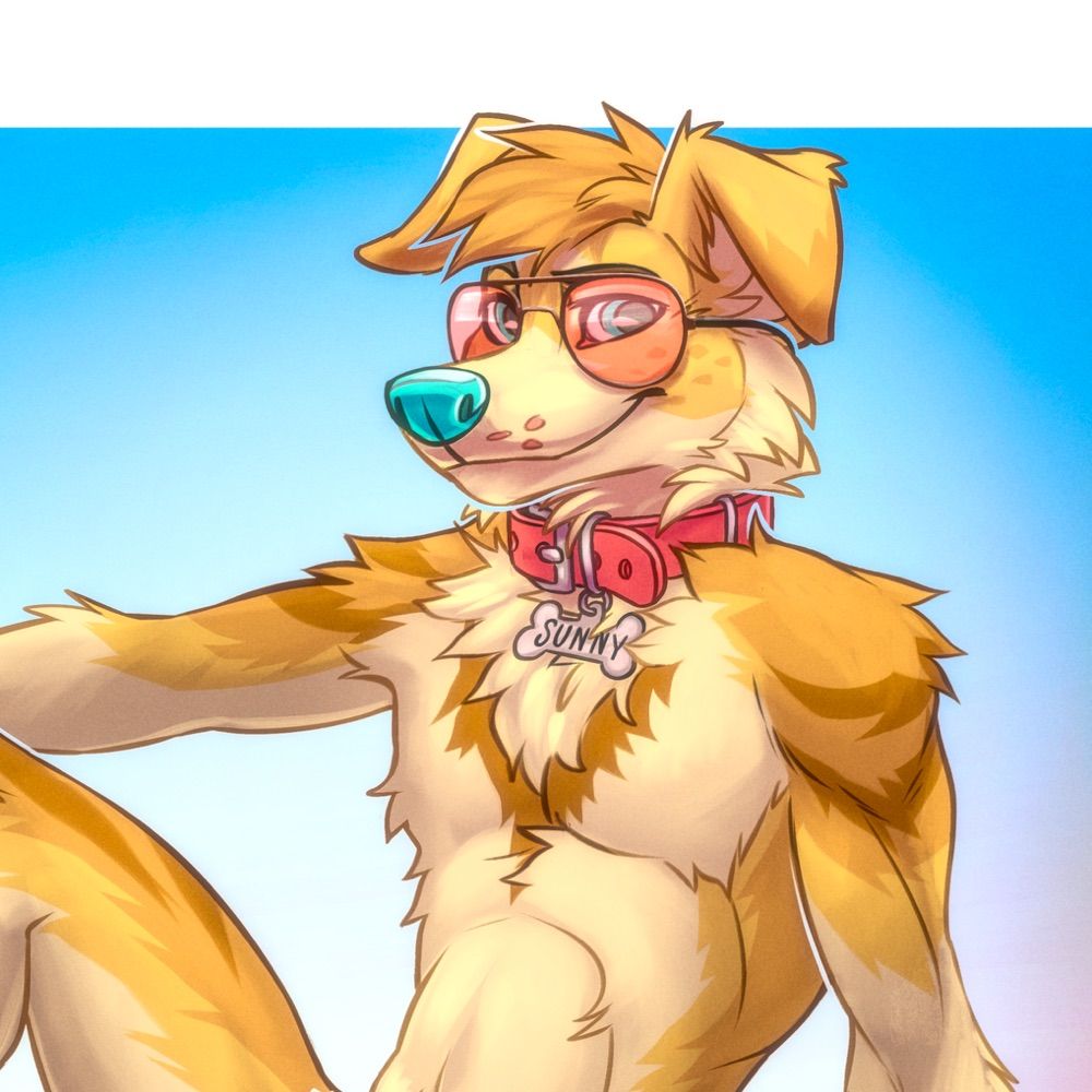 Profile picture sunnycollie.bsky.social