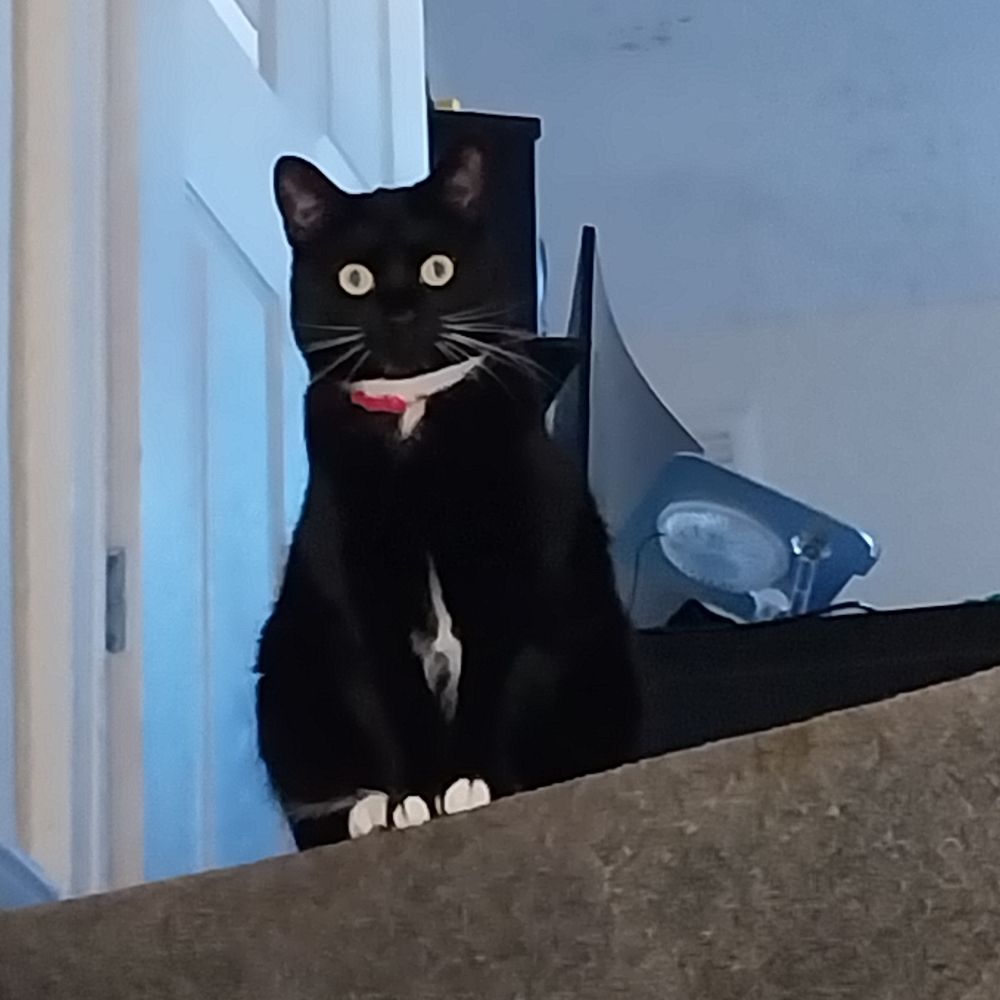 Zac