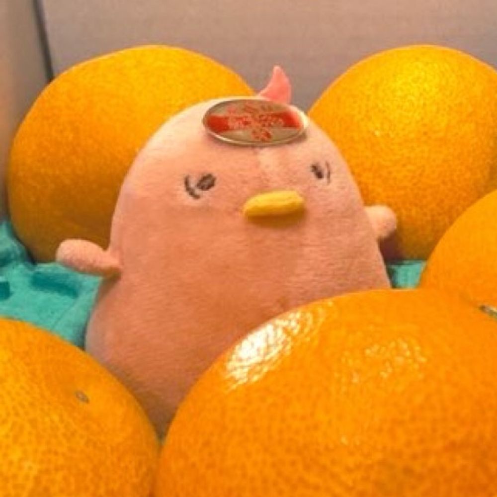 卓生