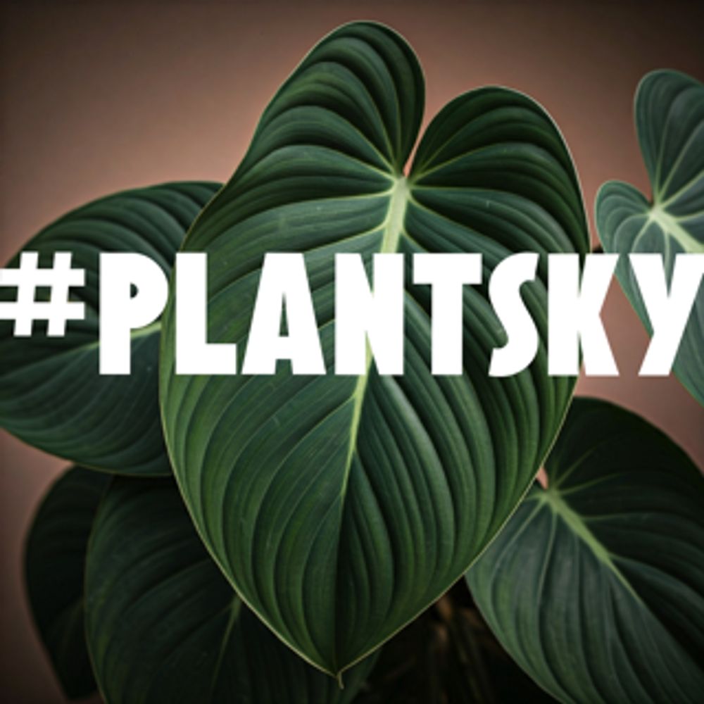 PlantSky